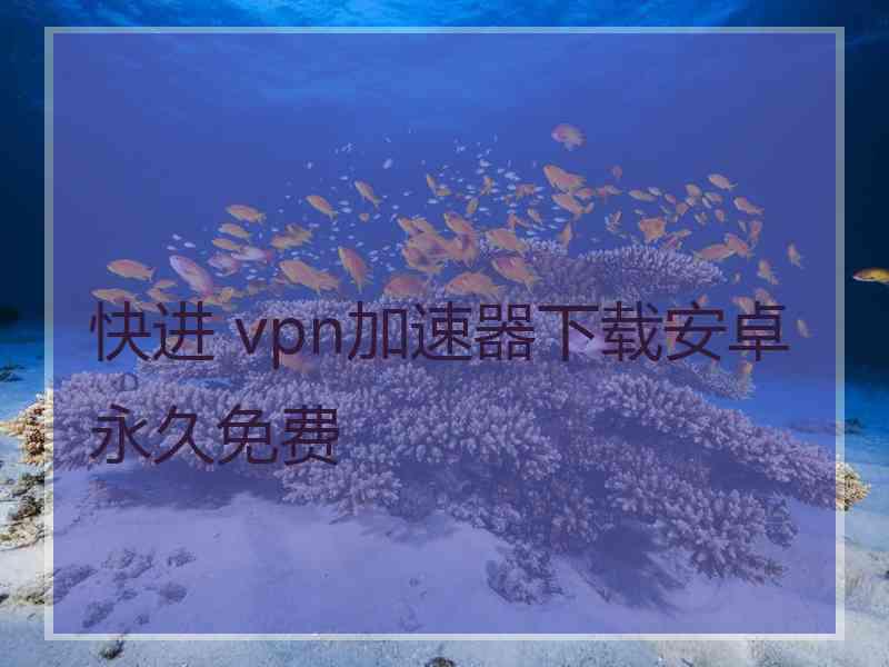 快进 vpn加速器下载安卓永久免费