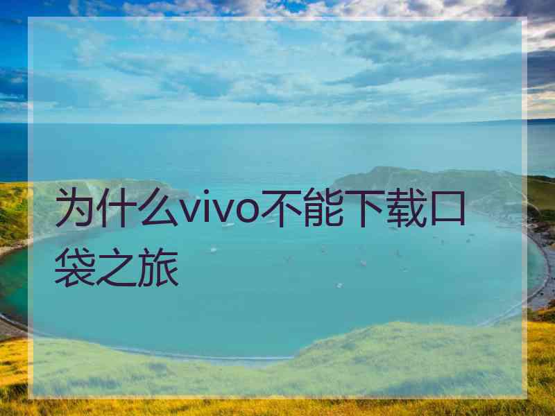 为什么vivo不能下载口袋之旅