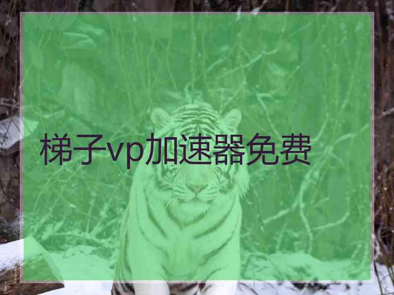 梯子vp加速器免费