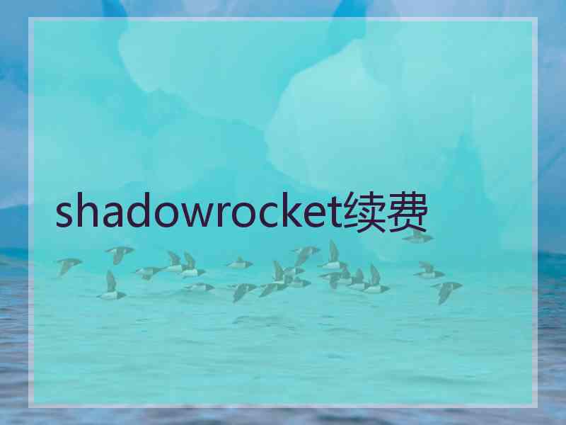 shadowrocket续费