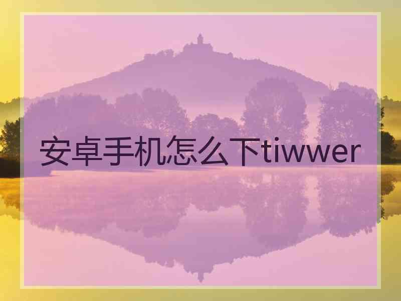 安卓手机怎么下tiwwer