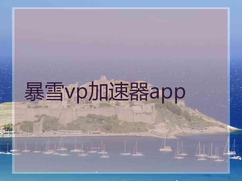 暴雪vp加速器app