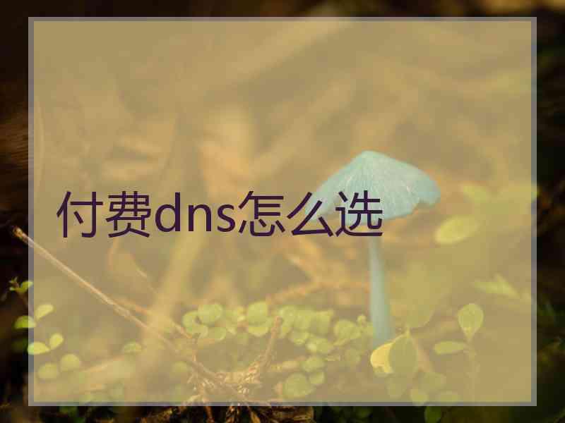 付费dns怎么选