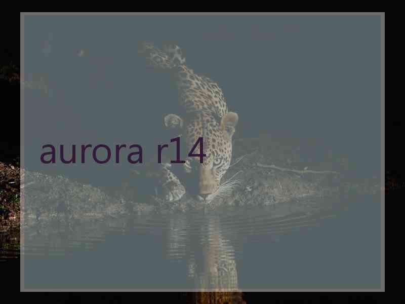 aurora r14