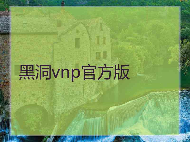 黑洞vnp官方版