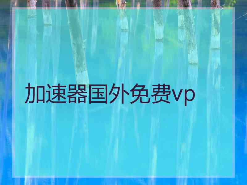 加速器国外免费vp