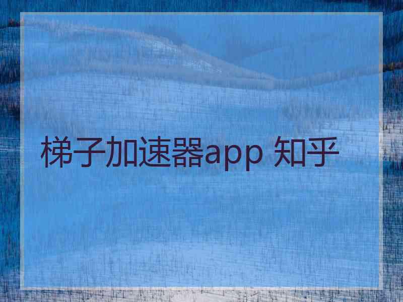 梯子加速器app 知乎