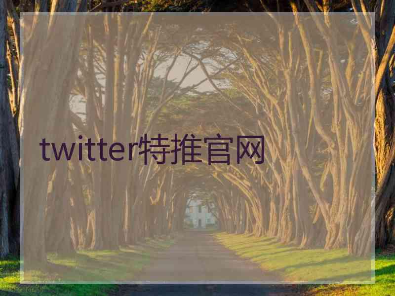 twitter特推官网