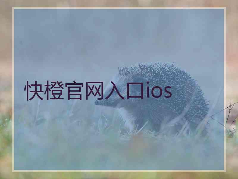 快橙官网入口ios