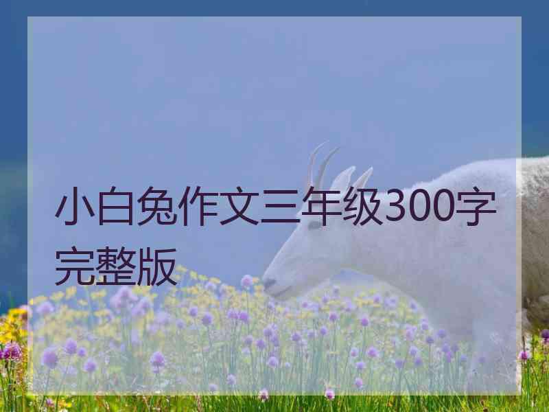 小白兔作文三年级300字完整版