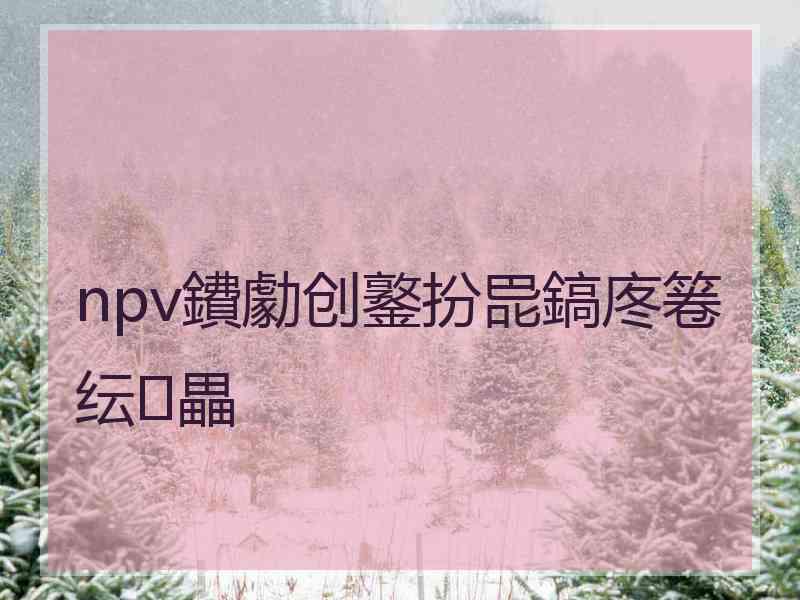 npv鐨勮创鐜扮巼鎬庝箞纭畾