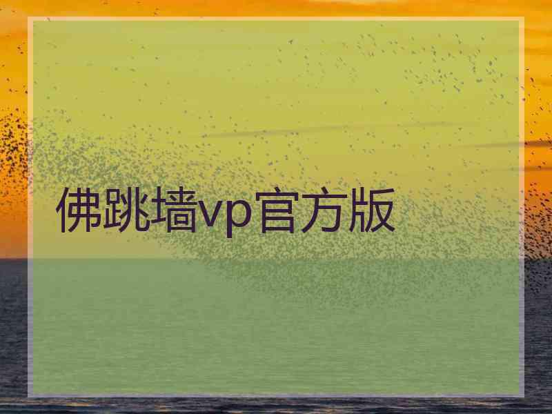 佛跳墙vp官方版