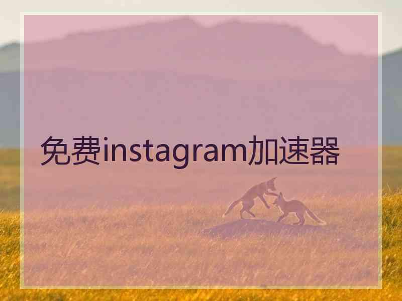 免费instagram加速器