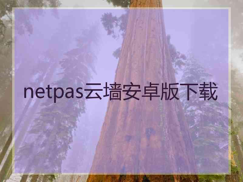 netpas云墙安卓版下载