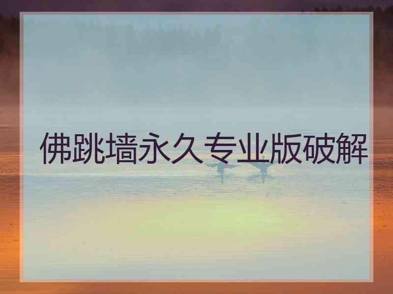 佛跳墙永久专业版破解