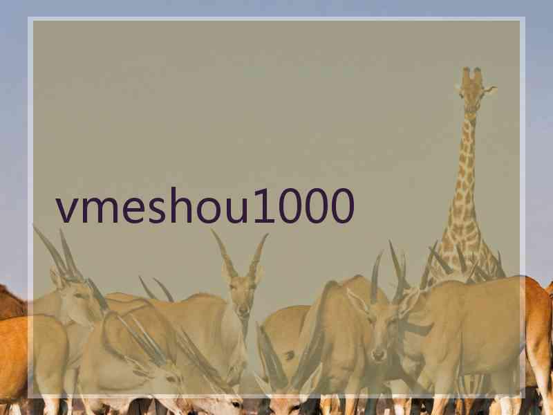 vmeshou1000