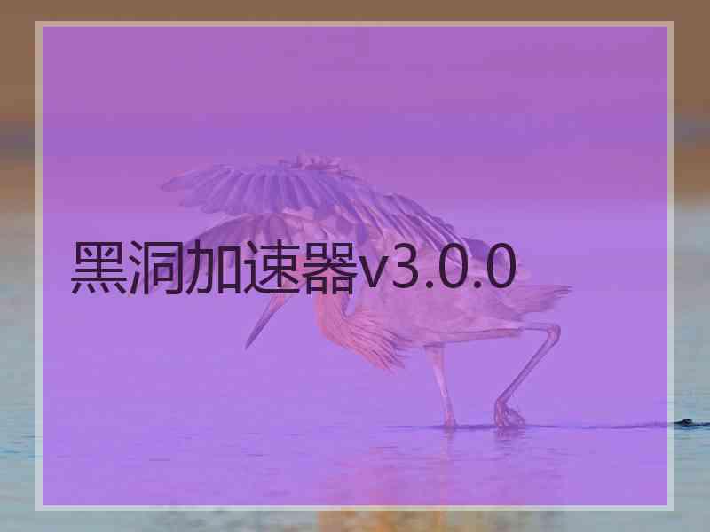 黑洞加速器v3.0.0