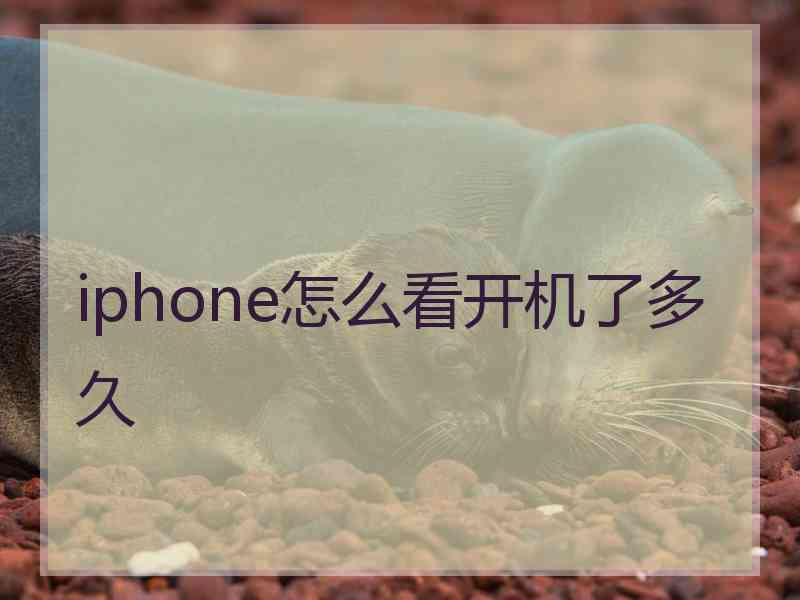 iphone怎么看开机了多久