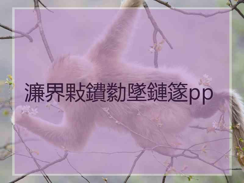 濂界敤鐨勬墜鏈篴pp