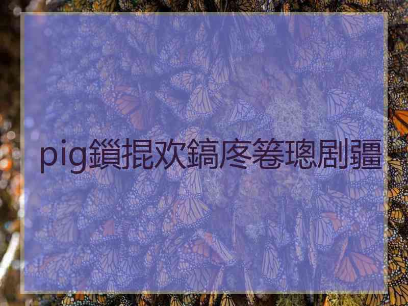 pig鎻掍欢鎬庝箞璁剧疆