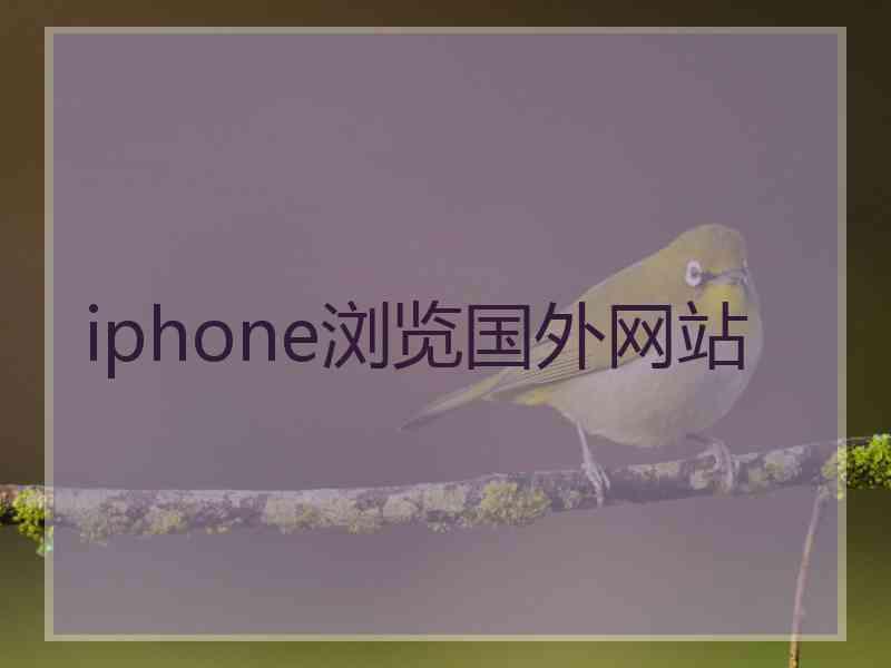 iphone浏览国外网站