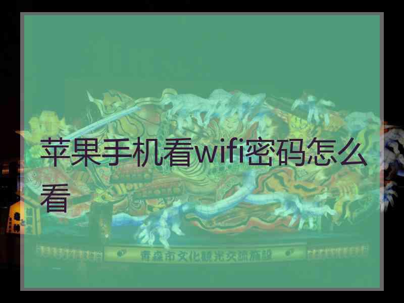 苹果手机看wifi密码怎么看