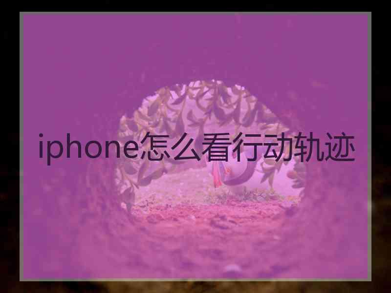 iphone怎么看行动轨迹