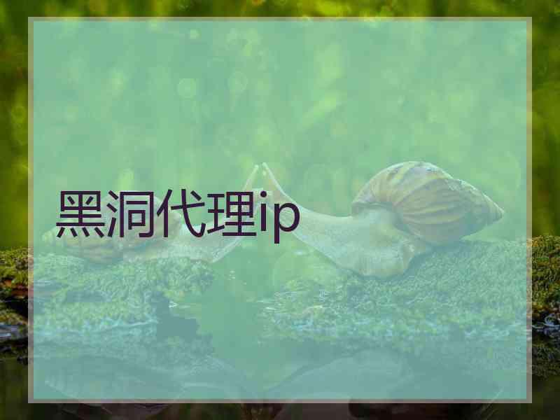 黑洞代理ip