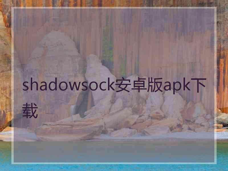 shadowsock安卓版apk下载