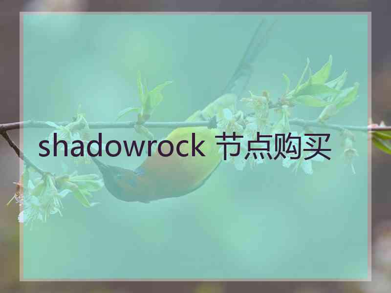 shadowrock 节点购买