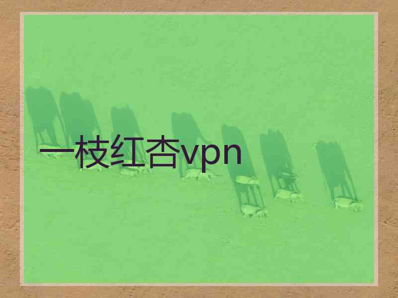 一枝红杏vpn