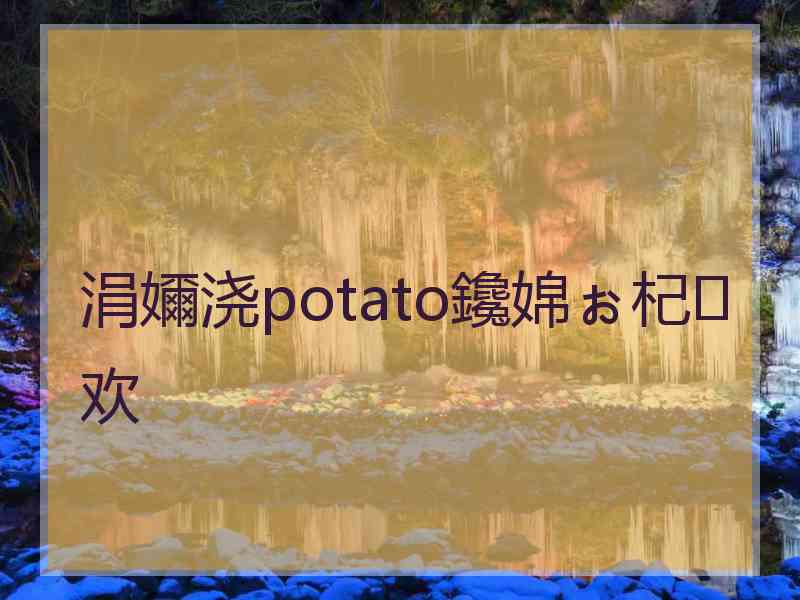 涓嬭浇potato鑱婂ぉ杞欢