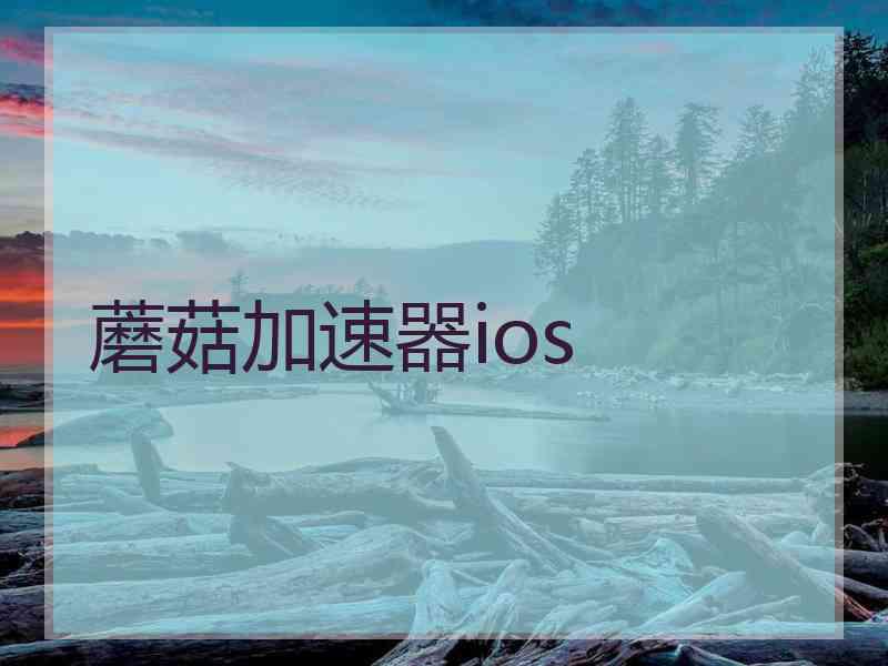 蘑菇加速器ios