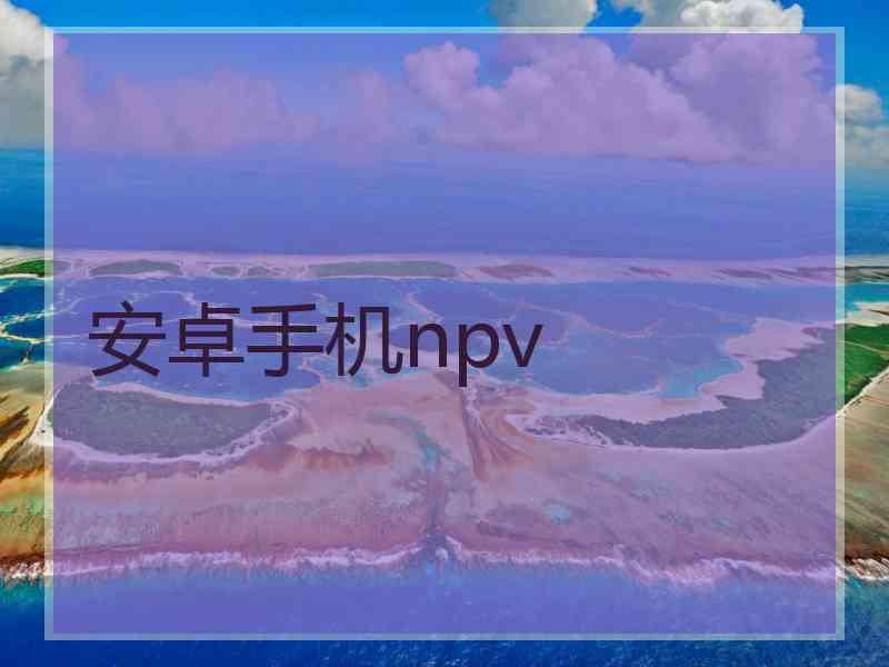 安卓手机npv