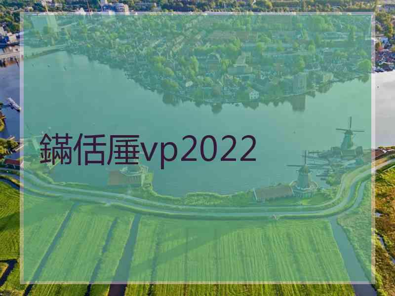 鏋佸厜vp2022