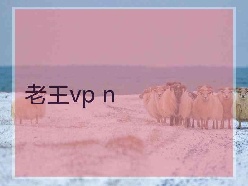 老王vp n