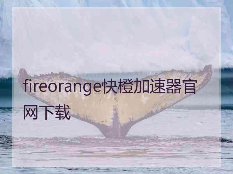 fireorange快橙加速器官网下载