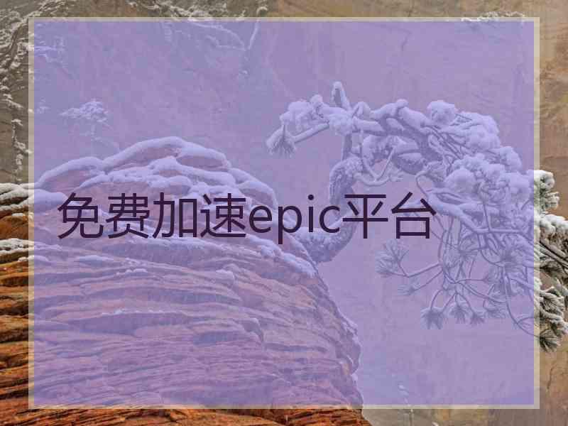 免费加速epic平台