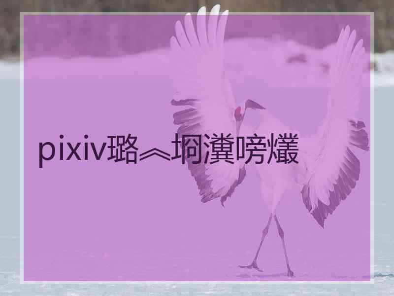 pixiv璐︽埛瀵嗙爜