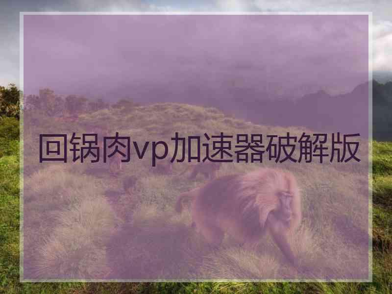 回锅肉vp加速器破解版