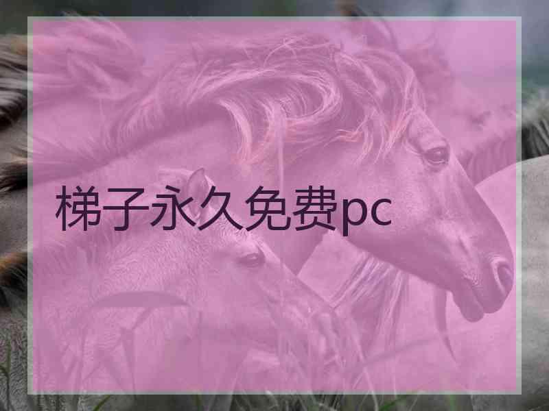 梯子永久免费pc