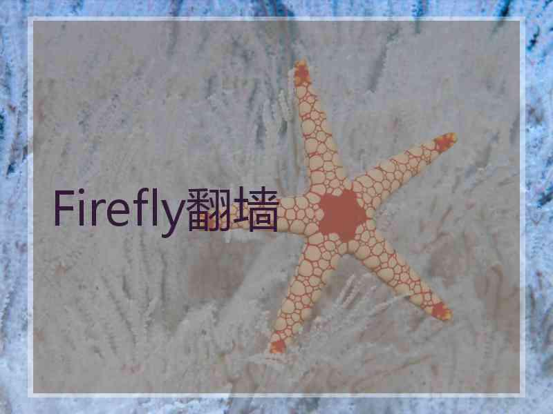 Firefly翻墙