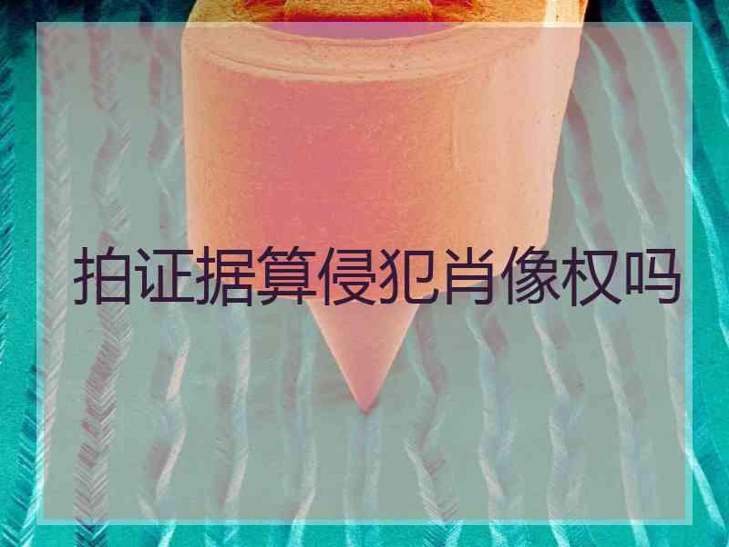 拍证据算侵犯肖像权吗