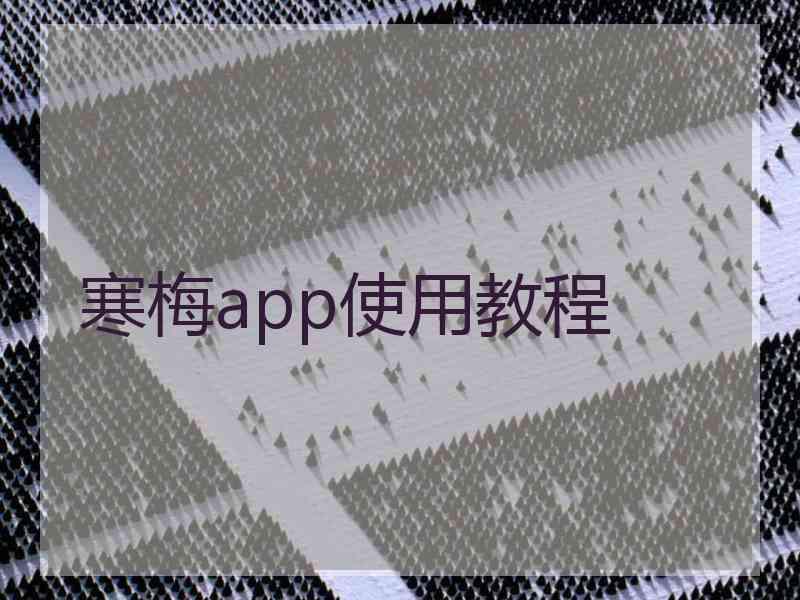 寒梅app使用教程