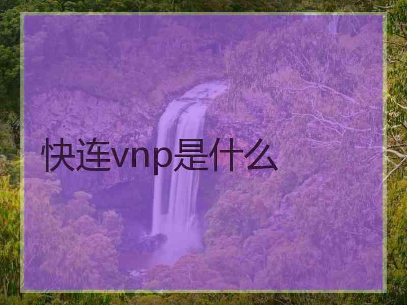 快连vnp是什么