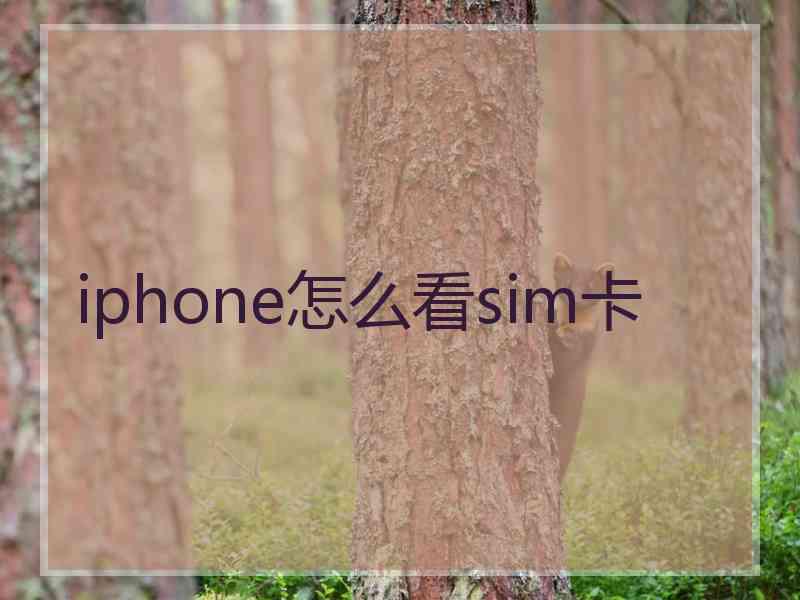 iphone怎么看sim卡