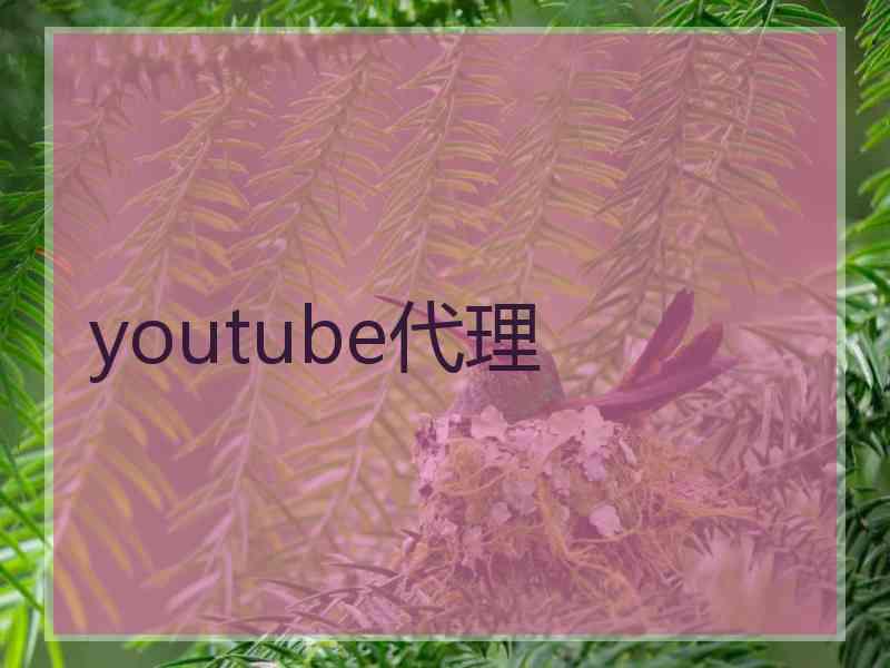 youtube代理