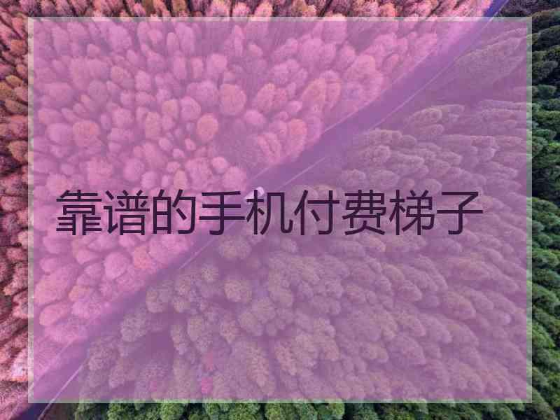 靠谱的手机付费梯子