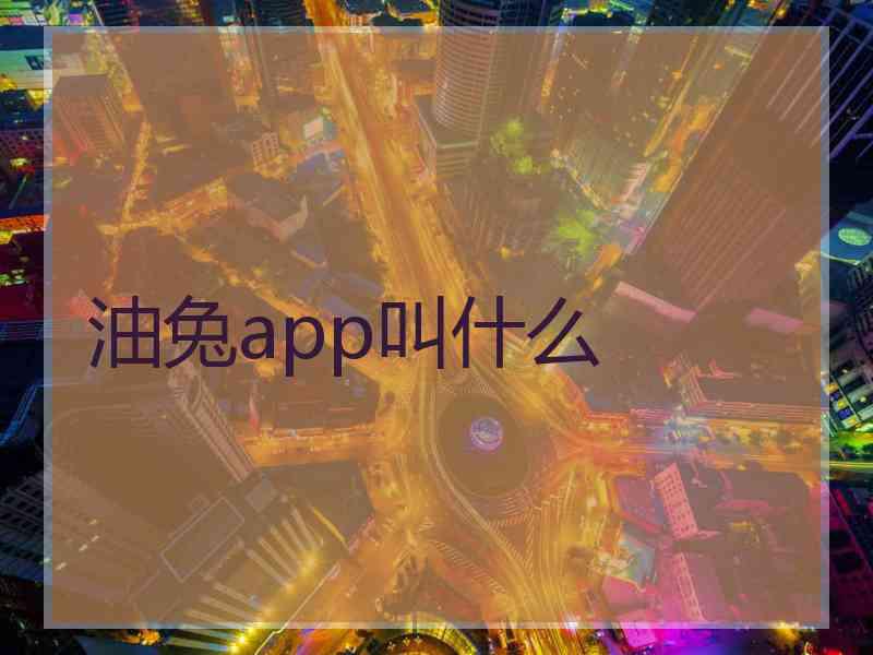 油兔app叫什么