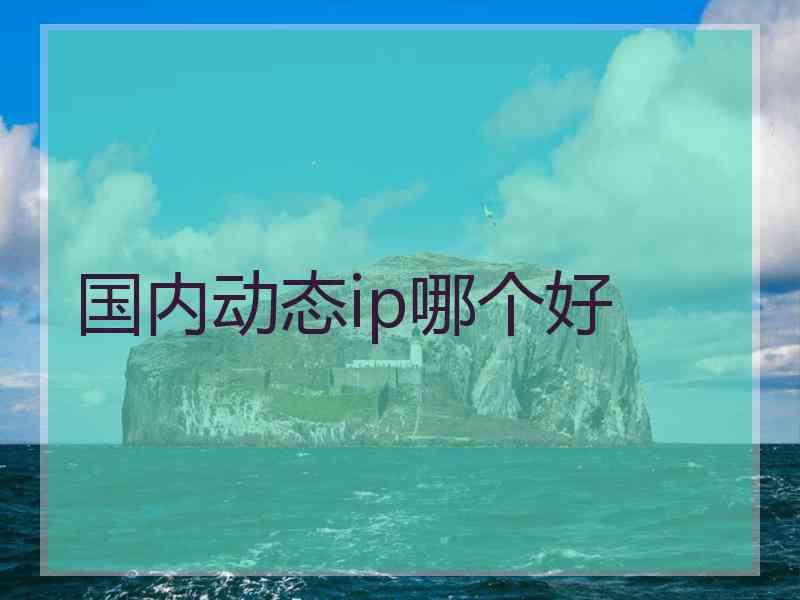 国内动态ip哪个好